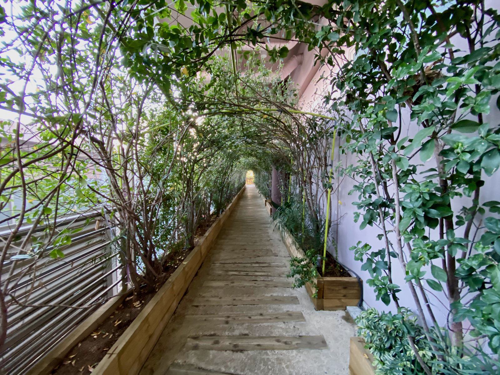 Hoshino Resonale Atami Tree House 01