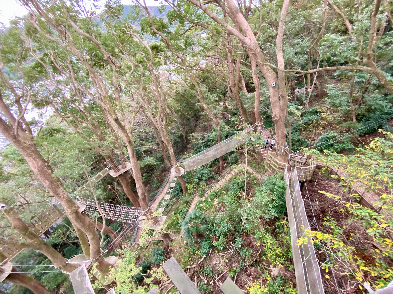 Hoshino Resonale Atami Tree House 36