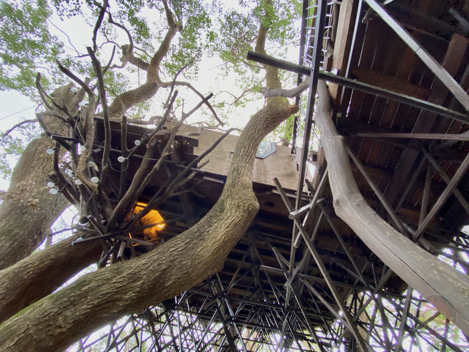 Hoshino Resonale Atami Tree House 38