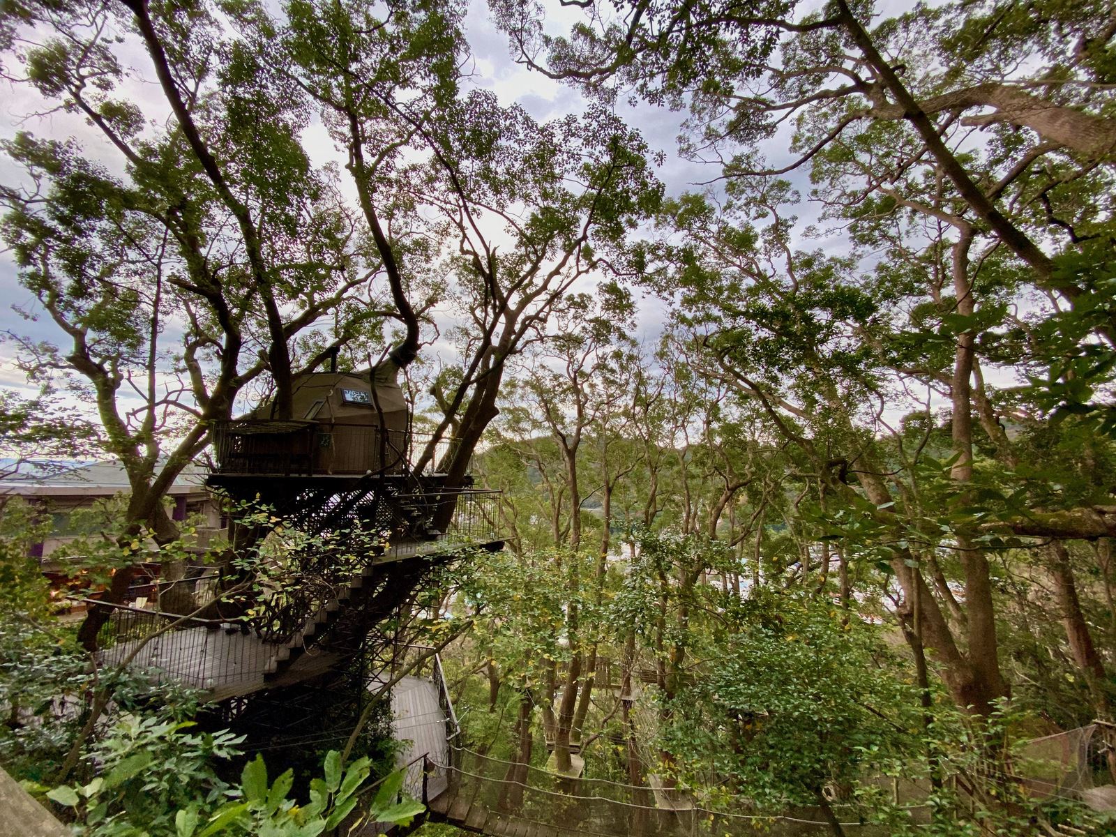 Hoshino-Resonale-Atami-Tree-House-39.jpeg