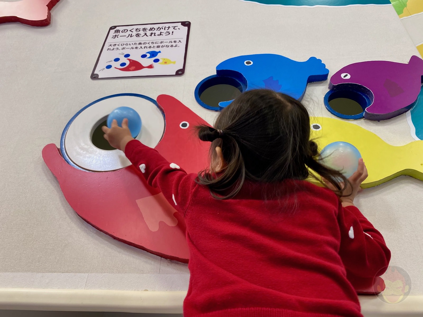 KID O KID Tamaplaza terrace 06