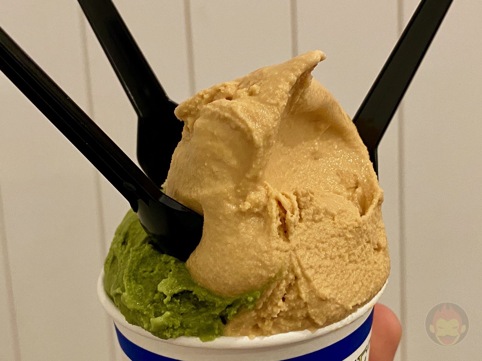 La DOPPIETTA Gelato Atami 06