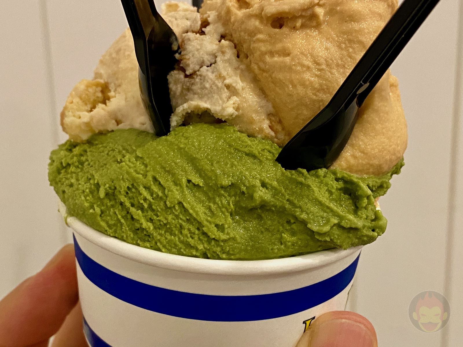 La DOPPIETTA Gelato Atami 07