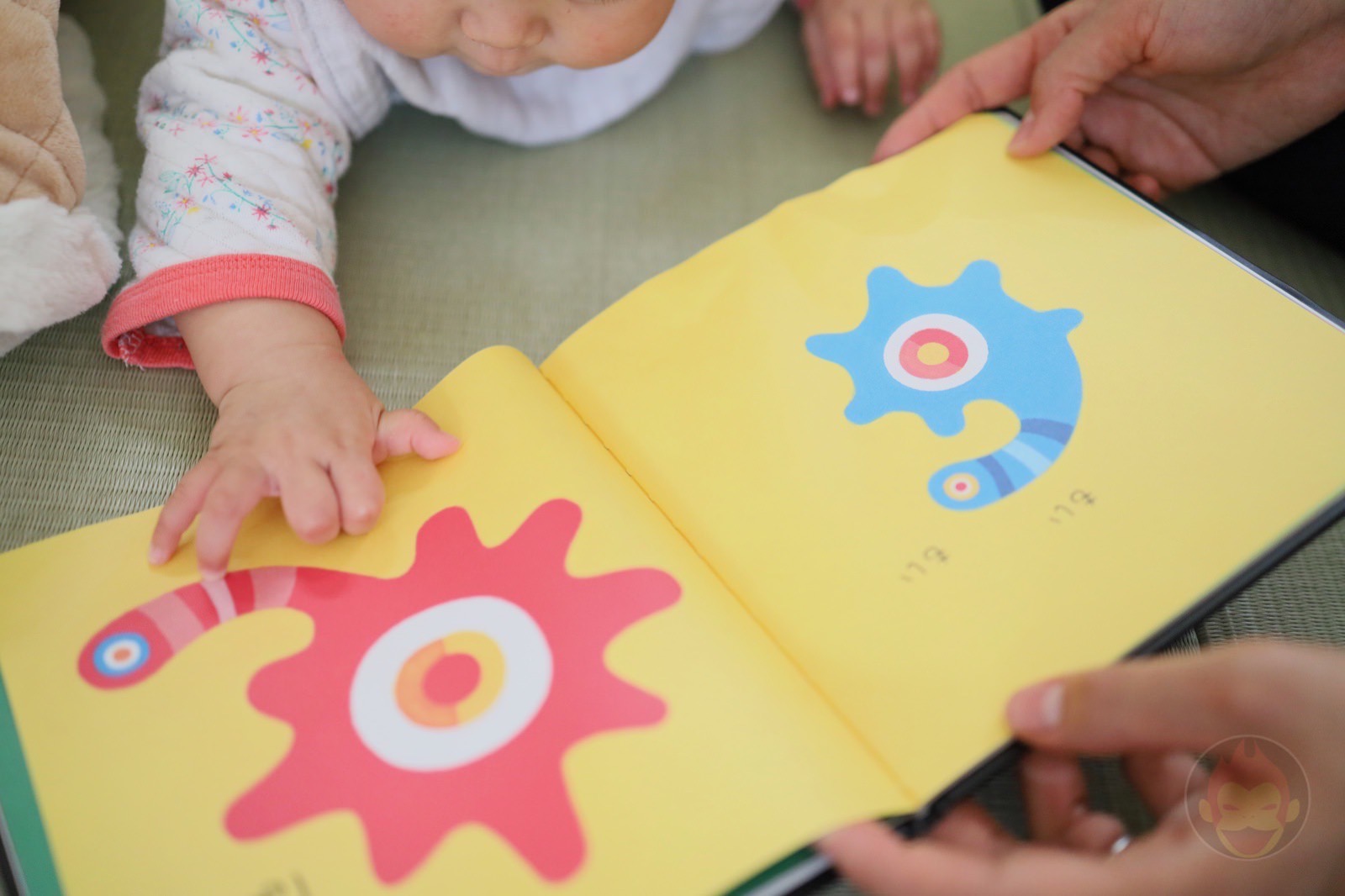 MoiMoi makes my daugter laugh 02