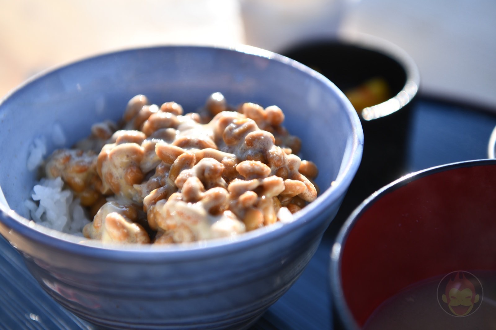 Yamanashi Hottarakashi Onsen JTC21 44