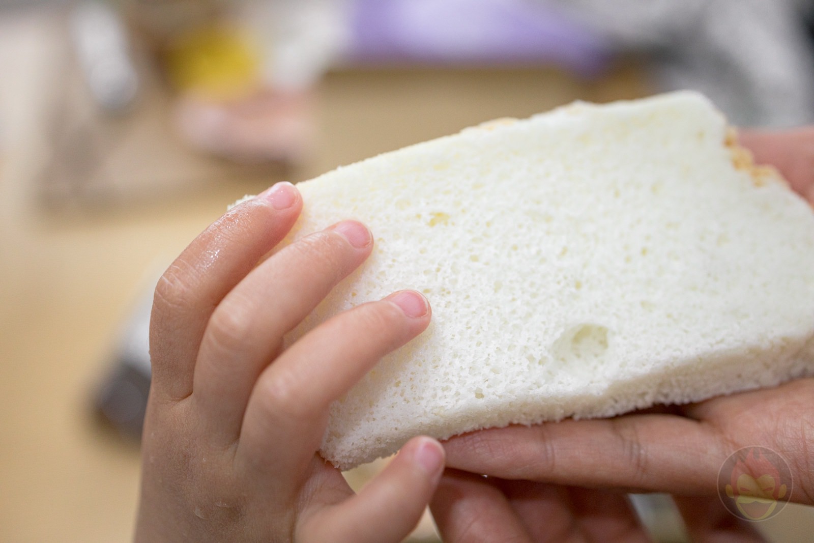 Yutan no Hoppeta chiffon cake 15