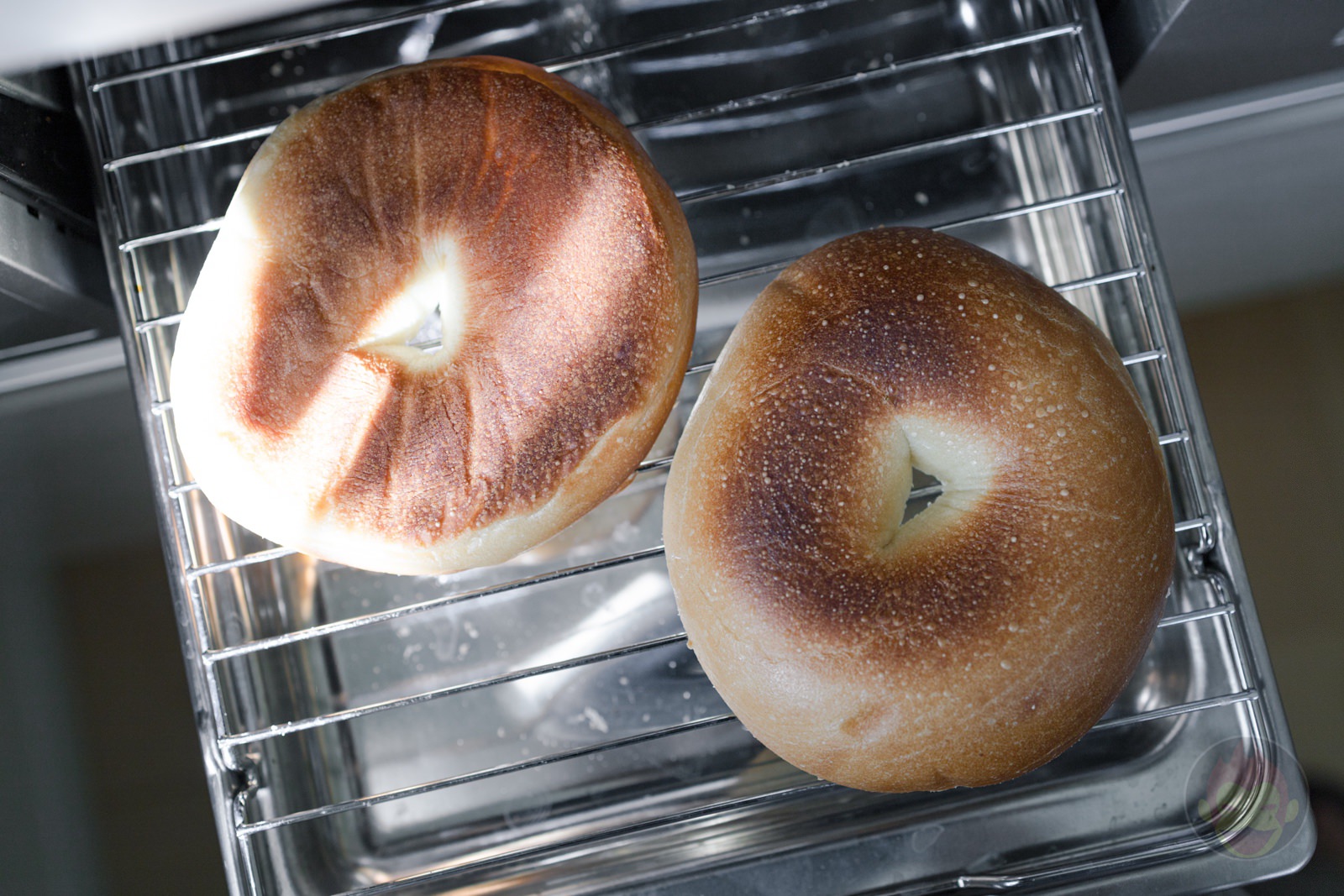 Costco Shrimp Avocado Guacamole Bagel Sandwich 04