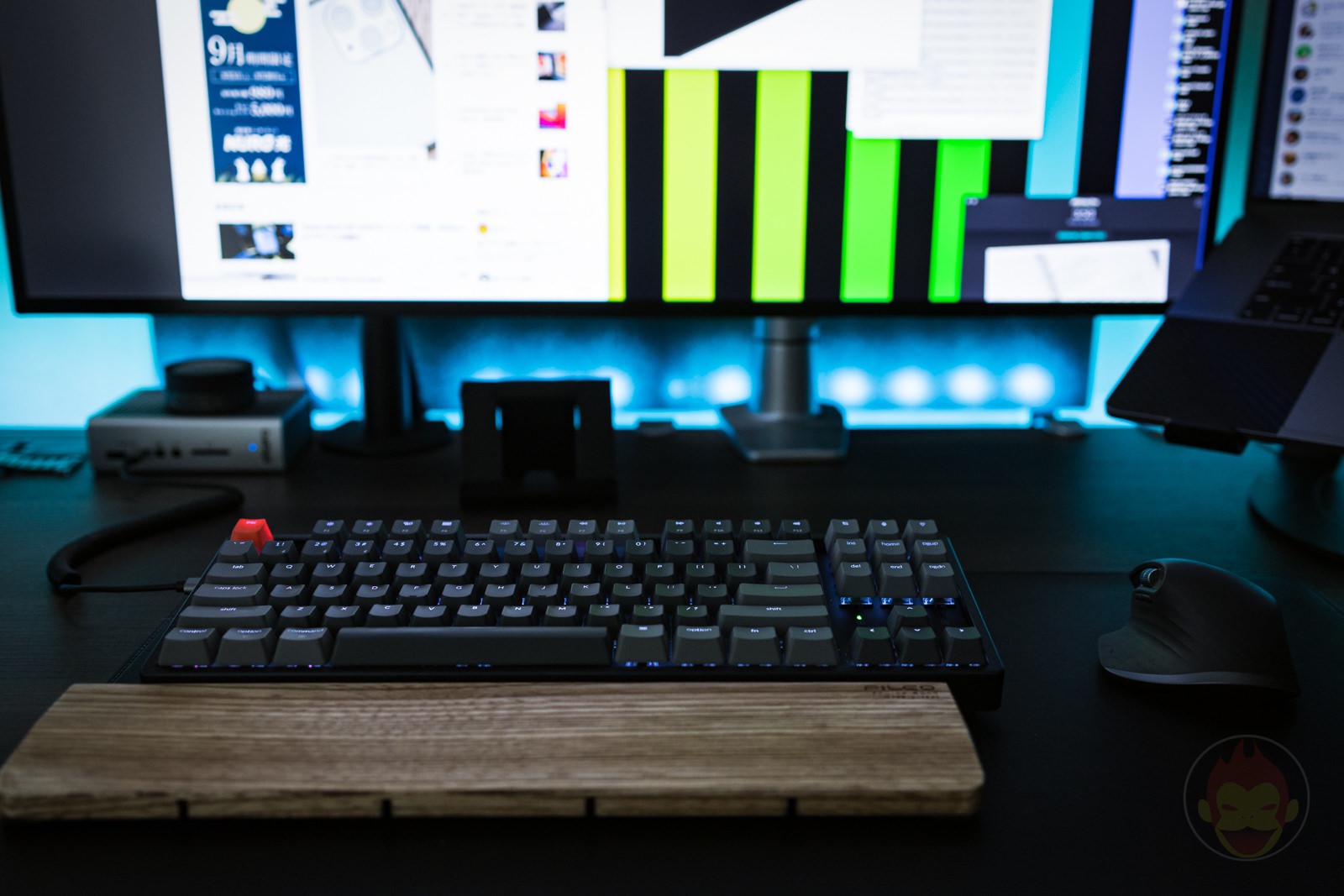 Canon EOS R6 35mm ff 8 MACRO IS STM Day in Life 04