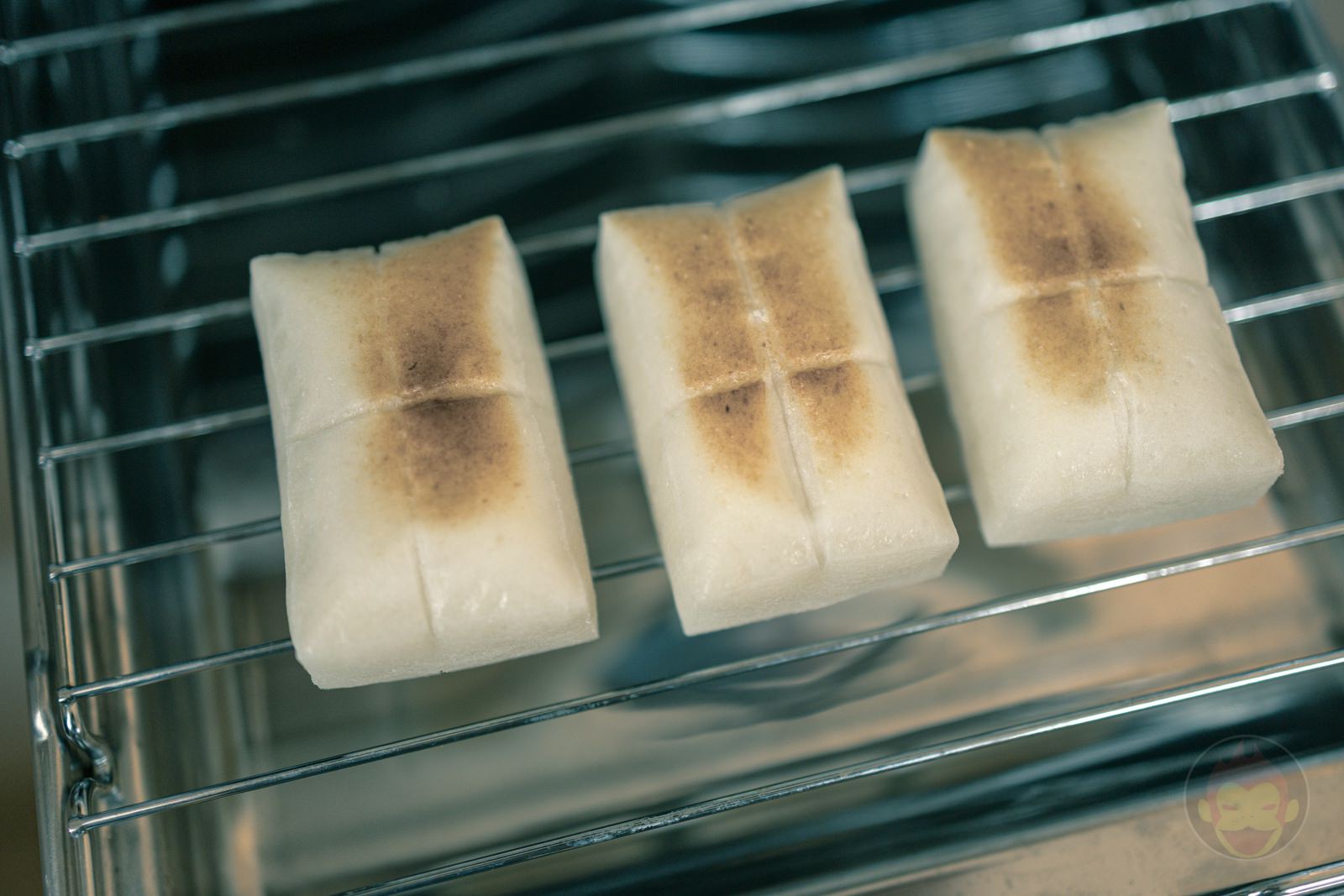 Canon EOS R6 35mm ff 8 MACRO IS STM Day in Life 06