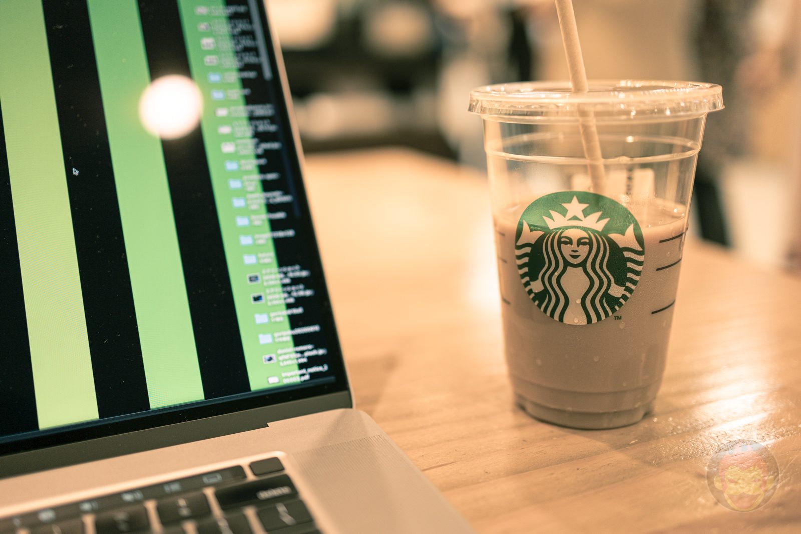 Canon EOS R6 35mm ff 8 MACRO IS STM Day in Life 18