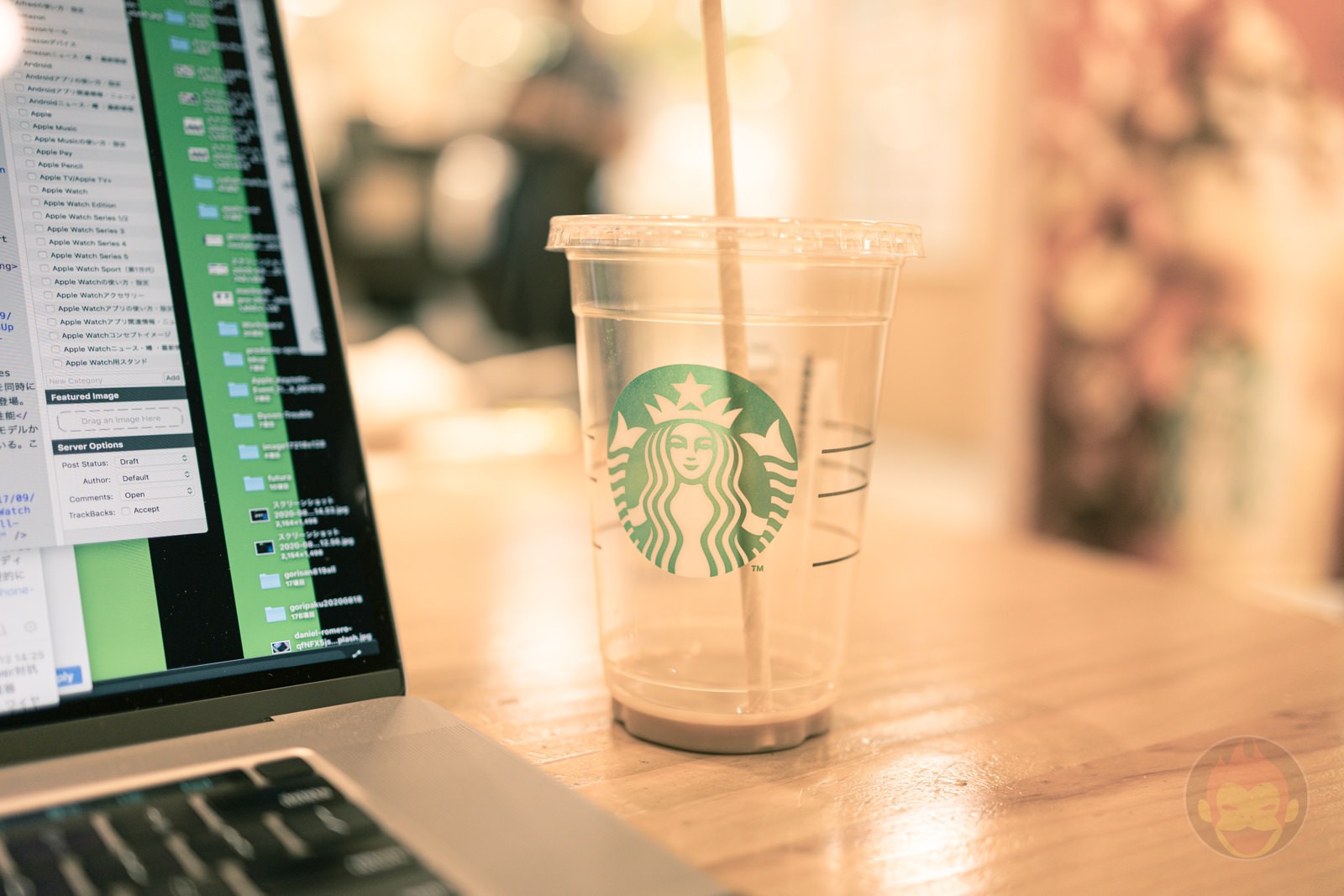 Canon EOS R6 35mm ff 8 MACRO IS STM Day in Life 19