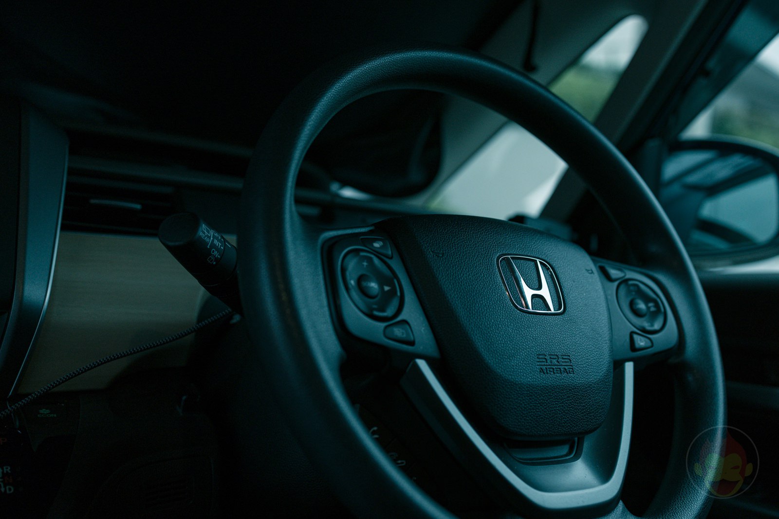 Canon EOS R6 35mm ff 8 MACRO IS STM Day in Life 25