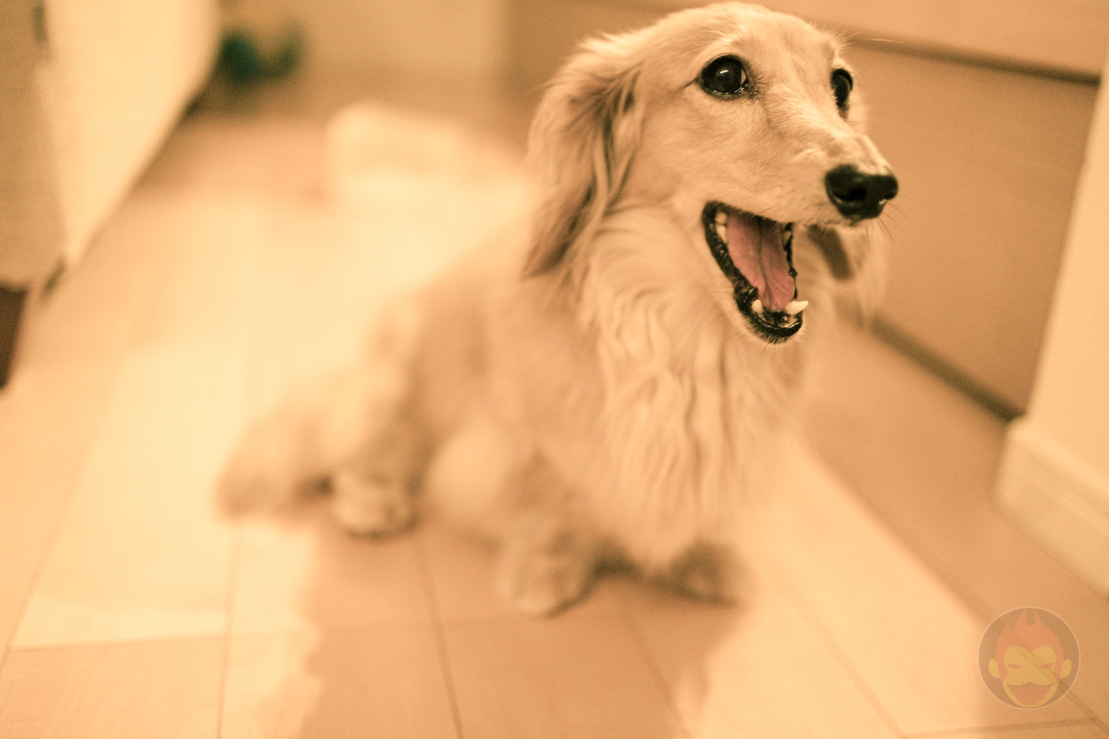 Canon EOS R6 35mm ff 8 MACRO IS STM Day in Life 33