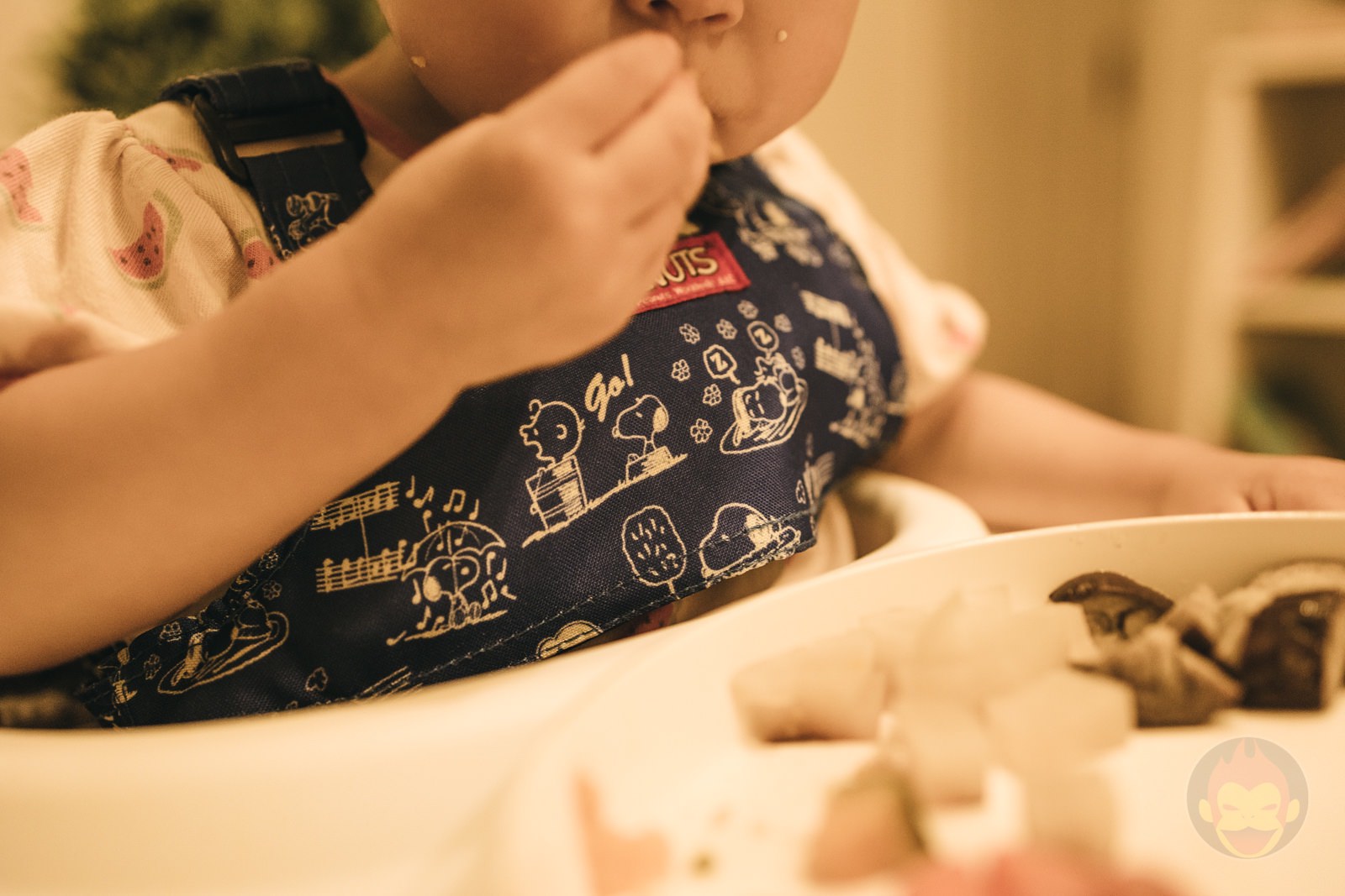 Canon EOS R6 35mm ff 8 MACRO IS STM Day in Life 36