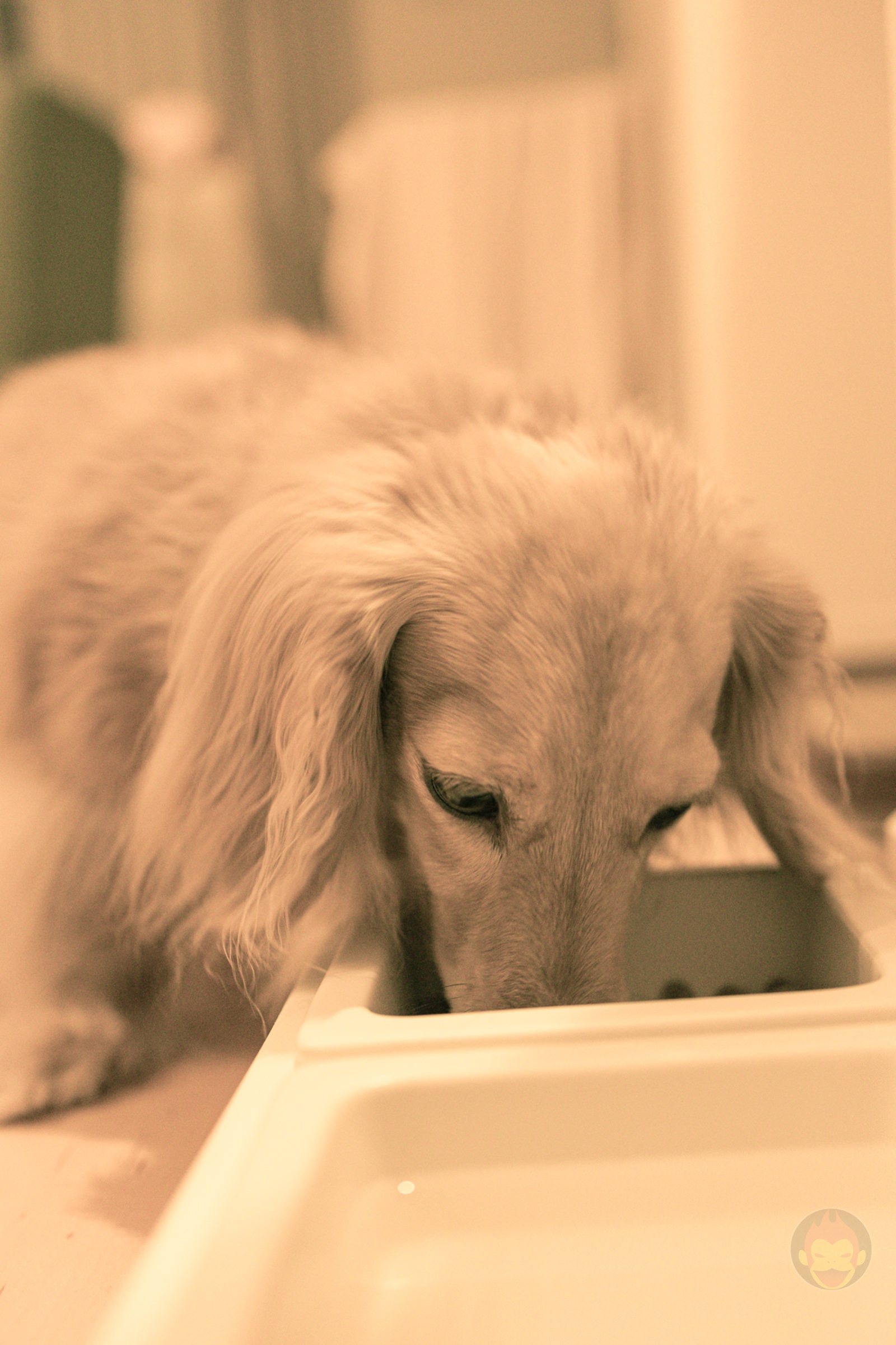 Canon EOS R6 35mm ff 8 MACRO IS STM Day in Life 38