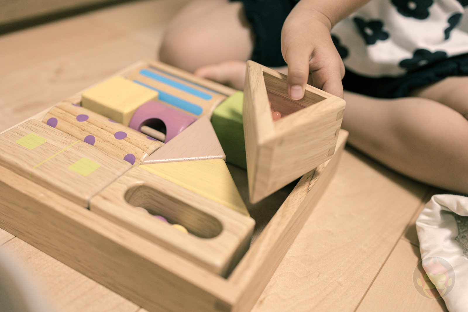 Canon EOS R6 35mm ff 8 MACRO IS STM Day in Life 41