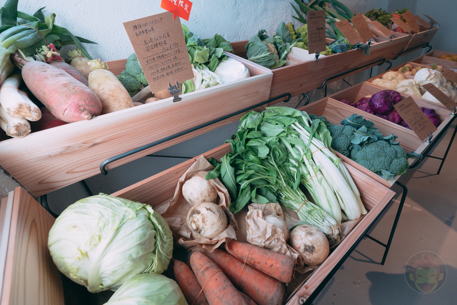 Mikotoya Ice Cream Crowd Funding 01