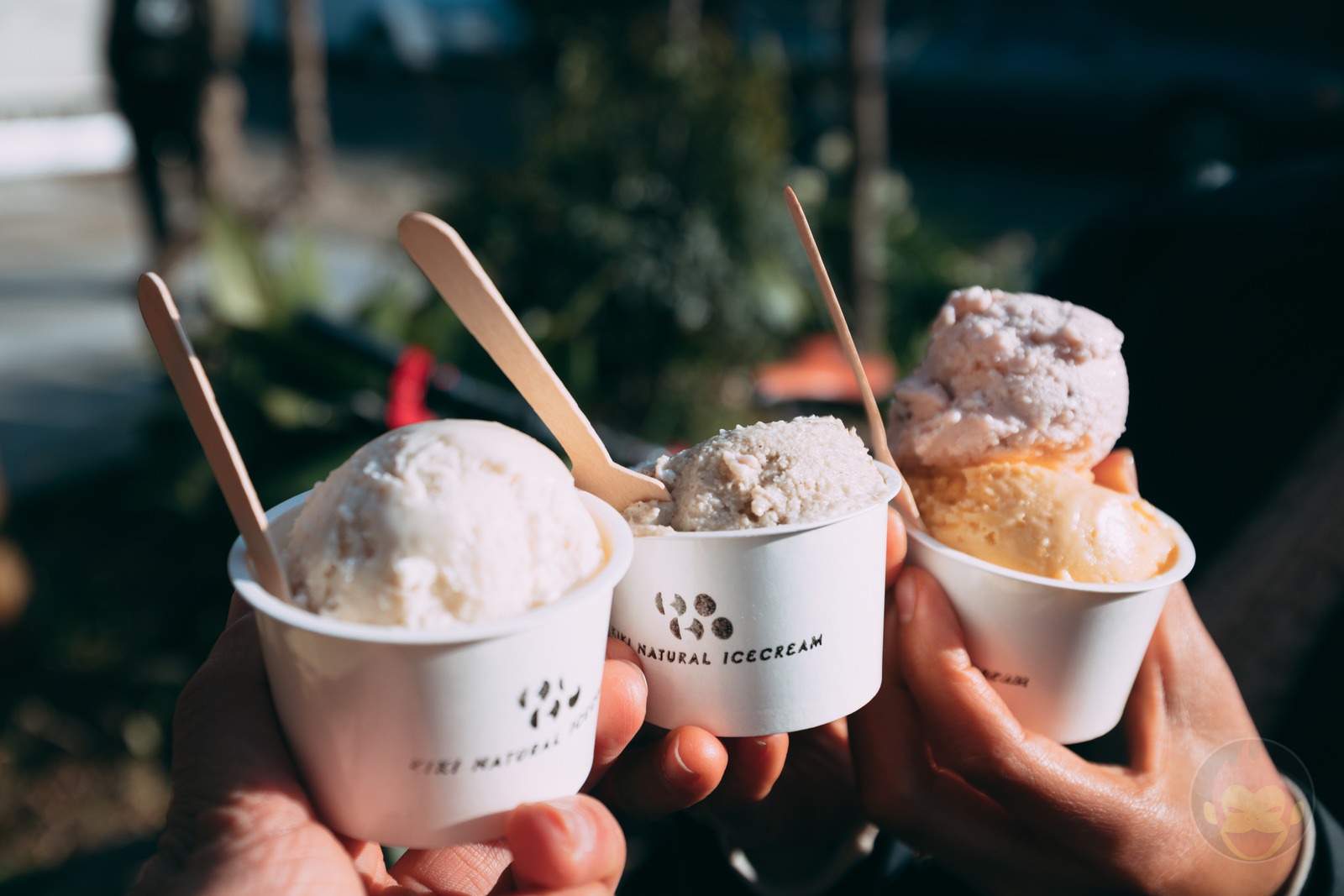 Mikotoya Ice Cream Crowd Funding 11