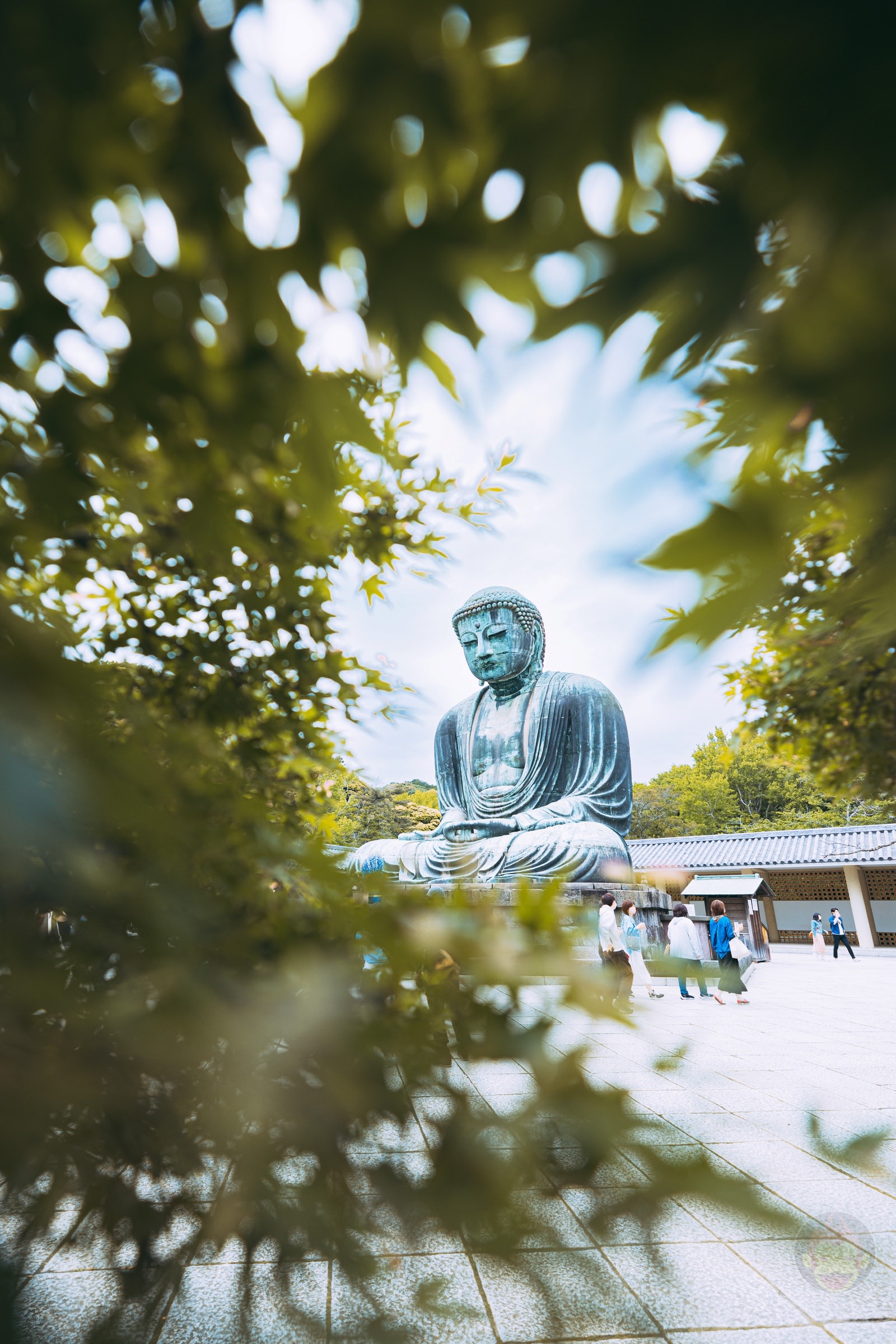 Kamakura daibutsu and towari soba photos 10