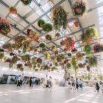 HANA-BIYORI-Yomiuri-Land-Flower-Chandelier-01.jpg