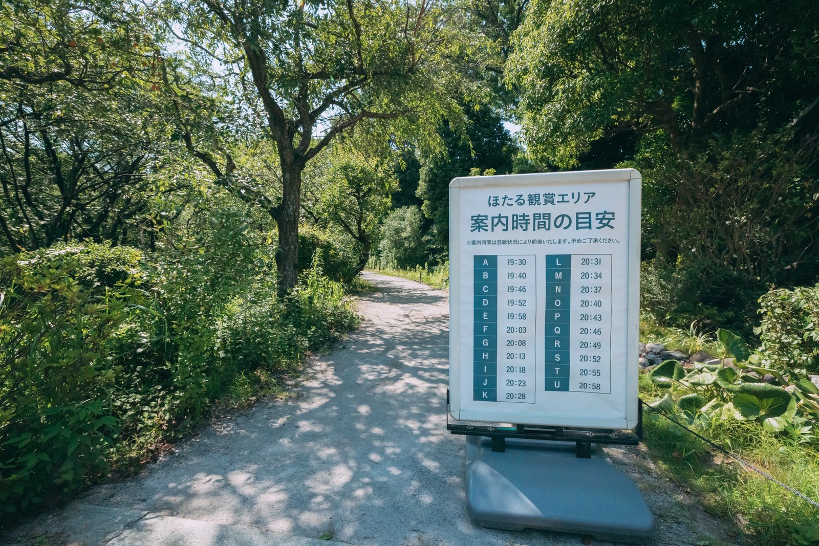 HANA BIYORI Yomiuri Land Flower Park FIreflies 06