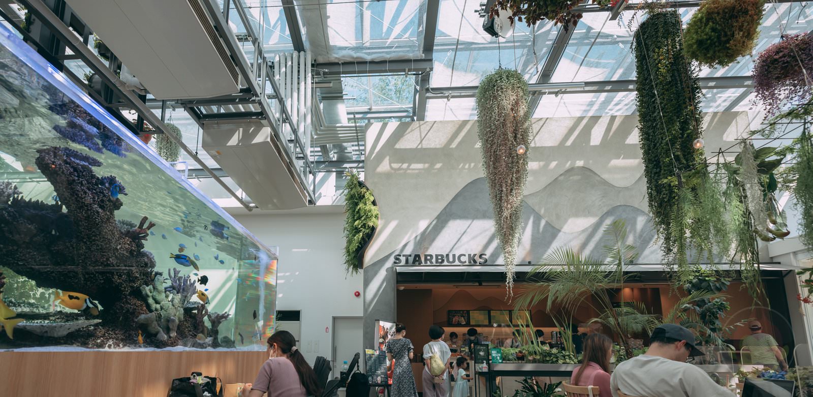 HANA BIYORI Yomiuri Land Flower Park FIreflies 15