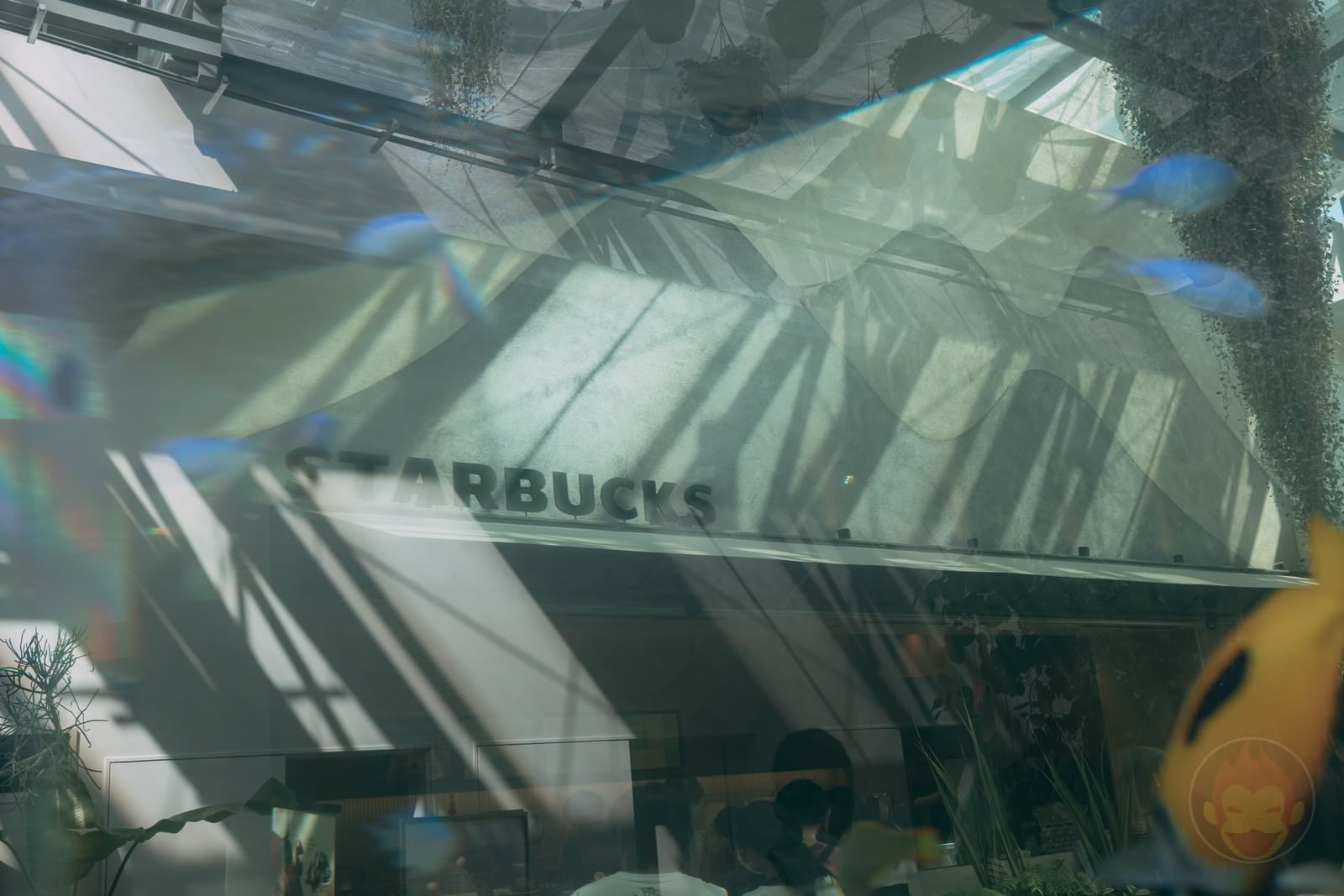 HANA BIYORI Yomiuri Land Flower Park FIreflies 17