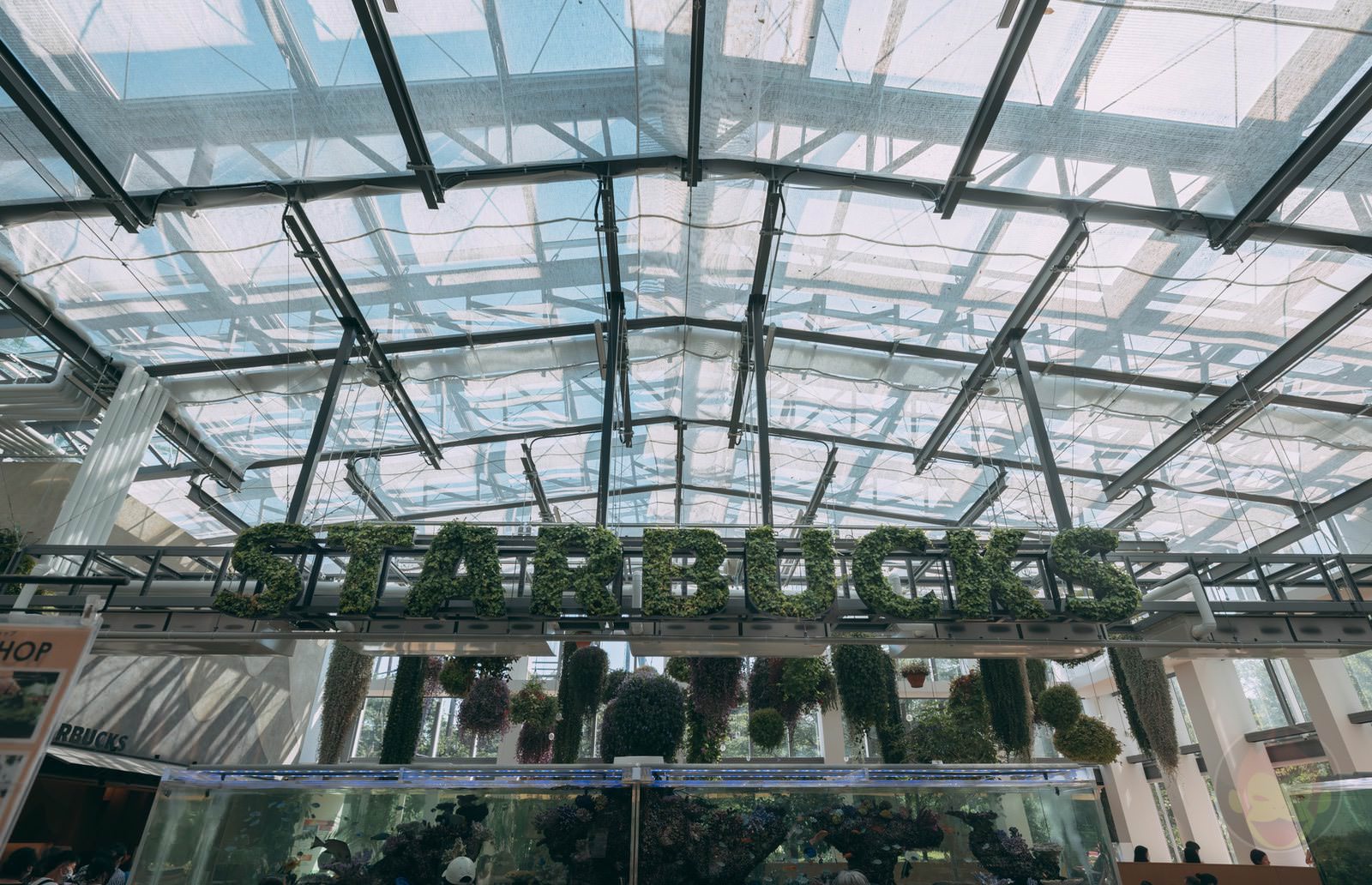 HANA BIYORI Yomiuri Land Flower Park FIreflies 18