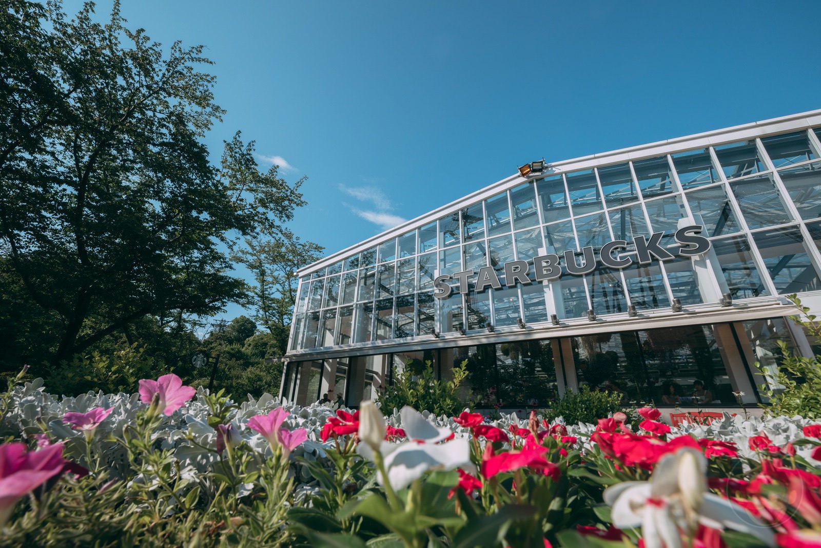 HANA BIYORI Yomiuri Land Flower Park FIreflies 37