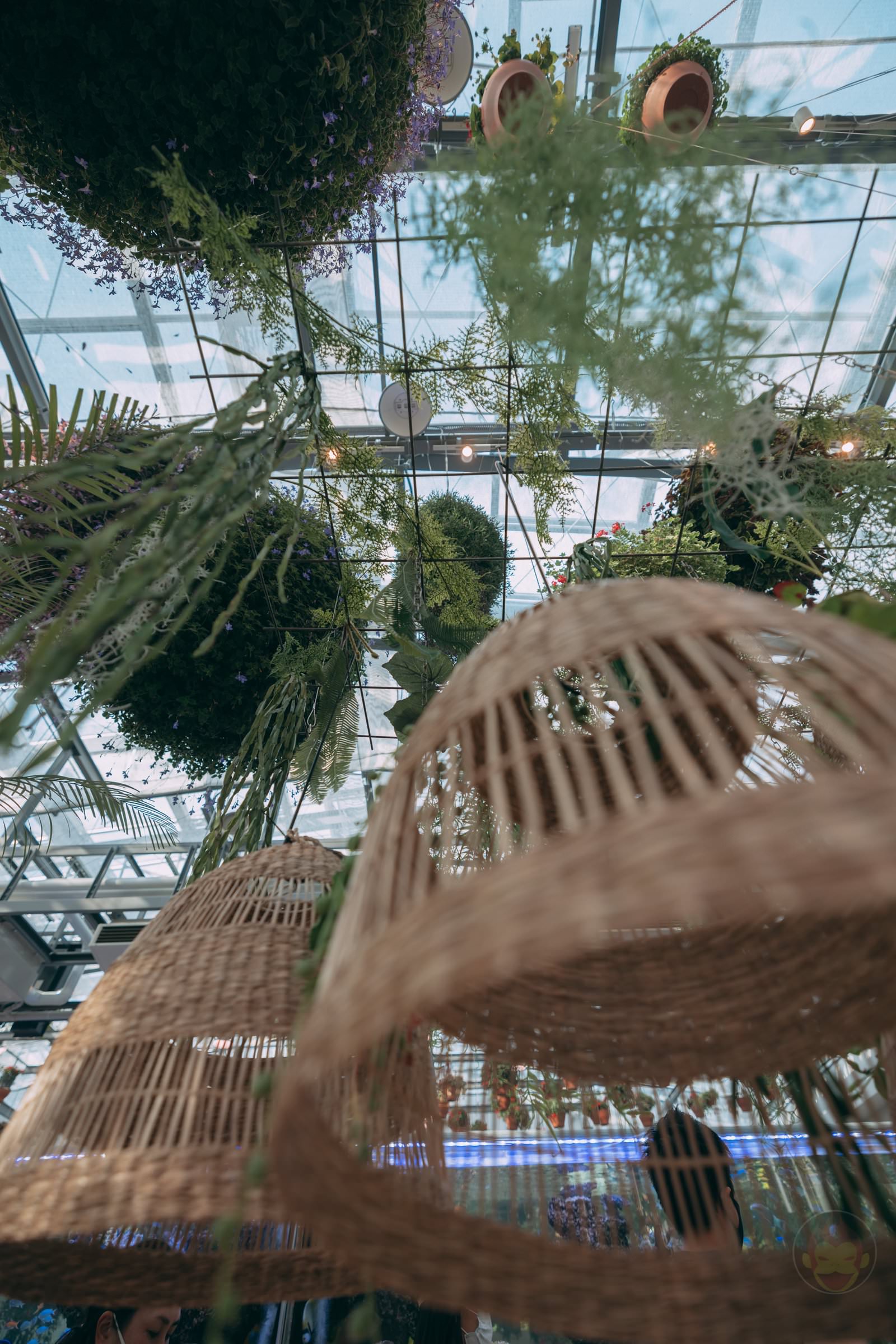 HANA BIYORI Yomiuri Land Flower Park FIreflies 40