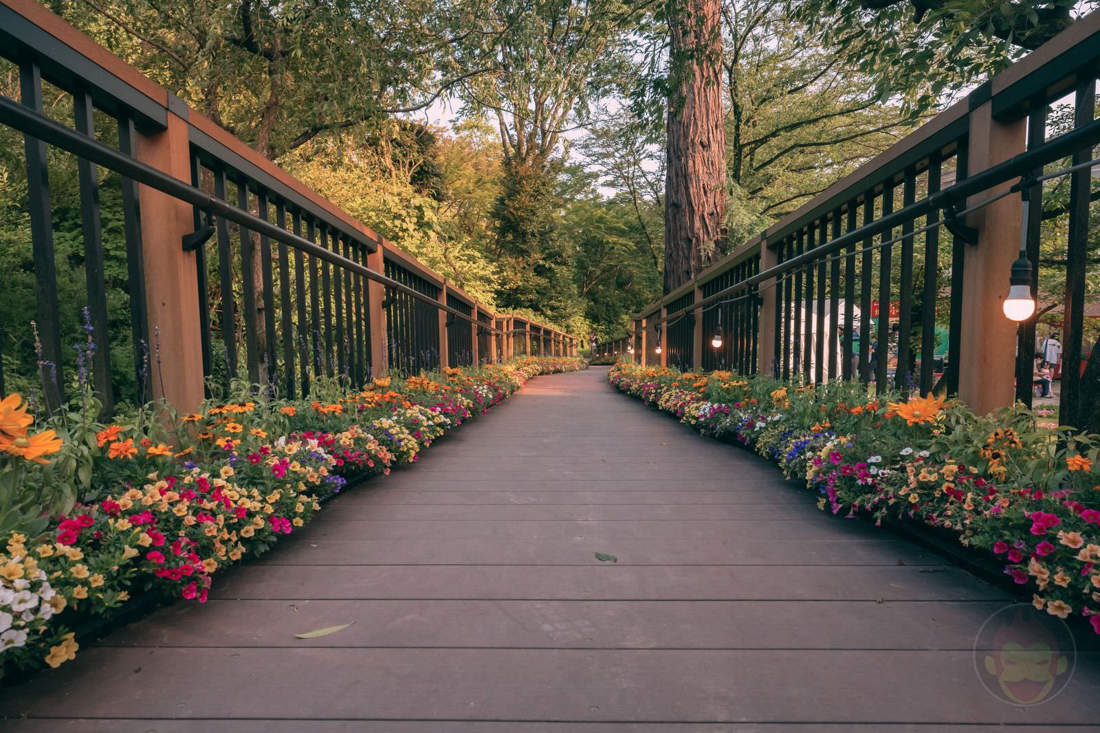 HANA-BIYORI-Yomiuri-Land-Flower-Park-FIreflies-48.jpg