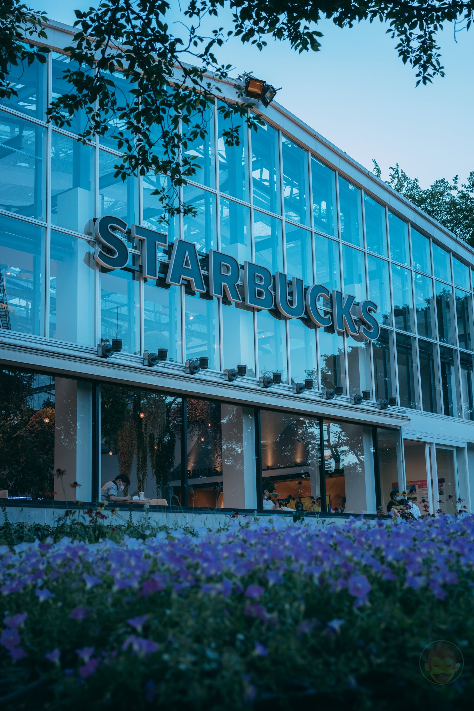 HANA BIYORI Yomiuri Land Flower Park FIreflies 54