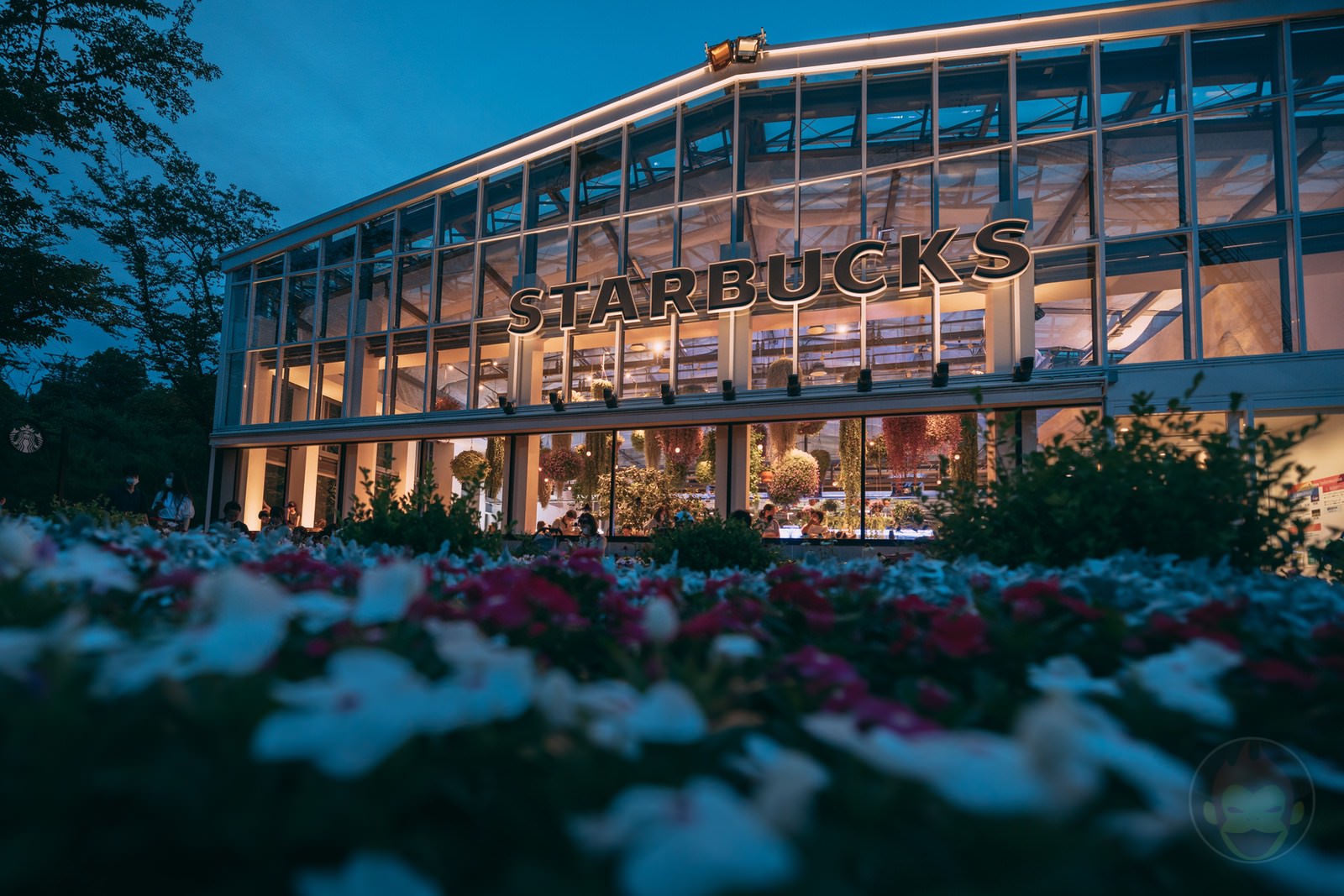 HANA BIYORI Yomiuri Land Flower Park FIreflies 55