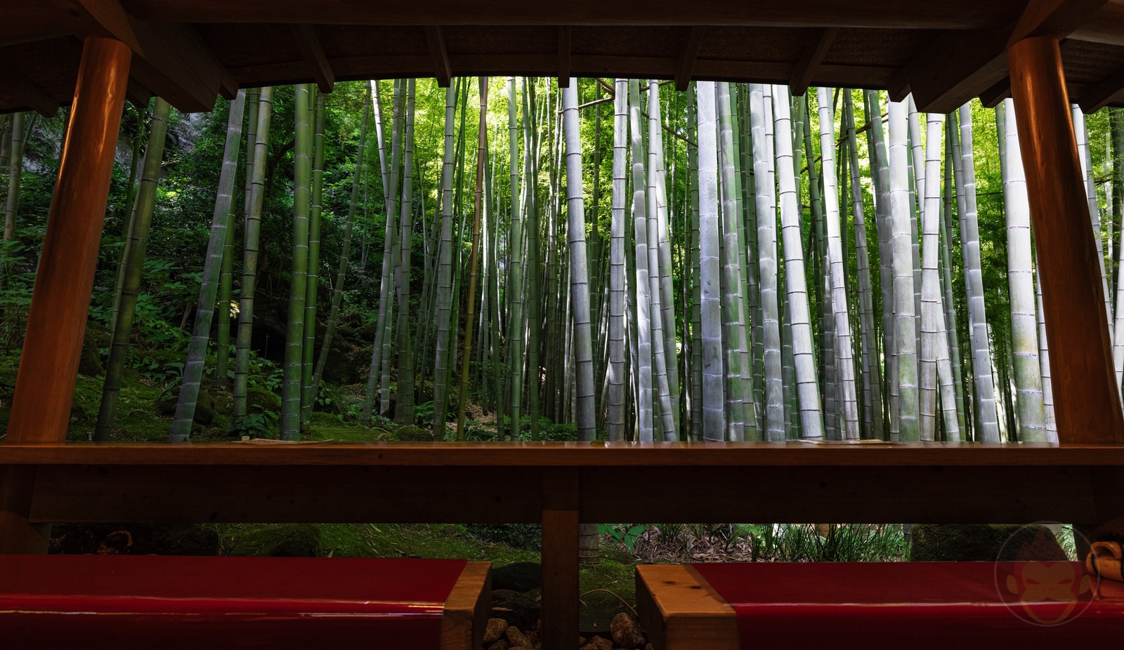 Kamakura Houkokuji Maccha 09