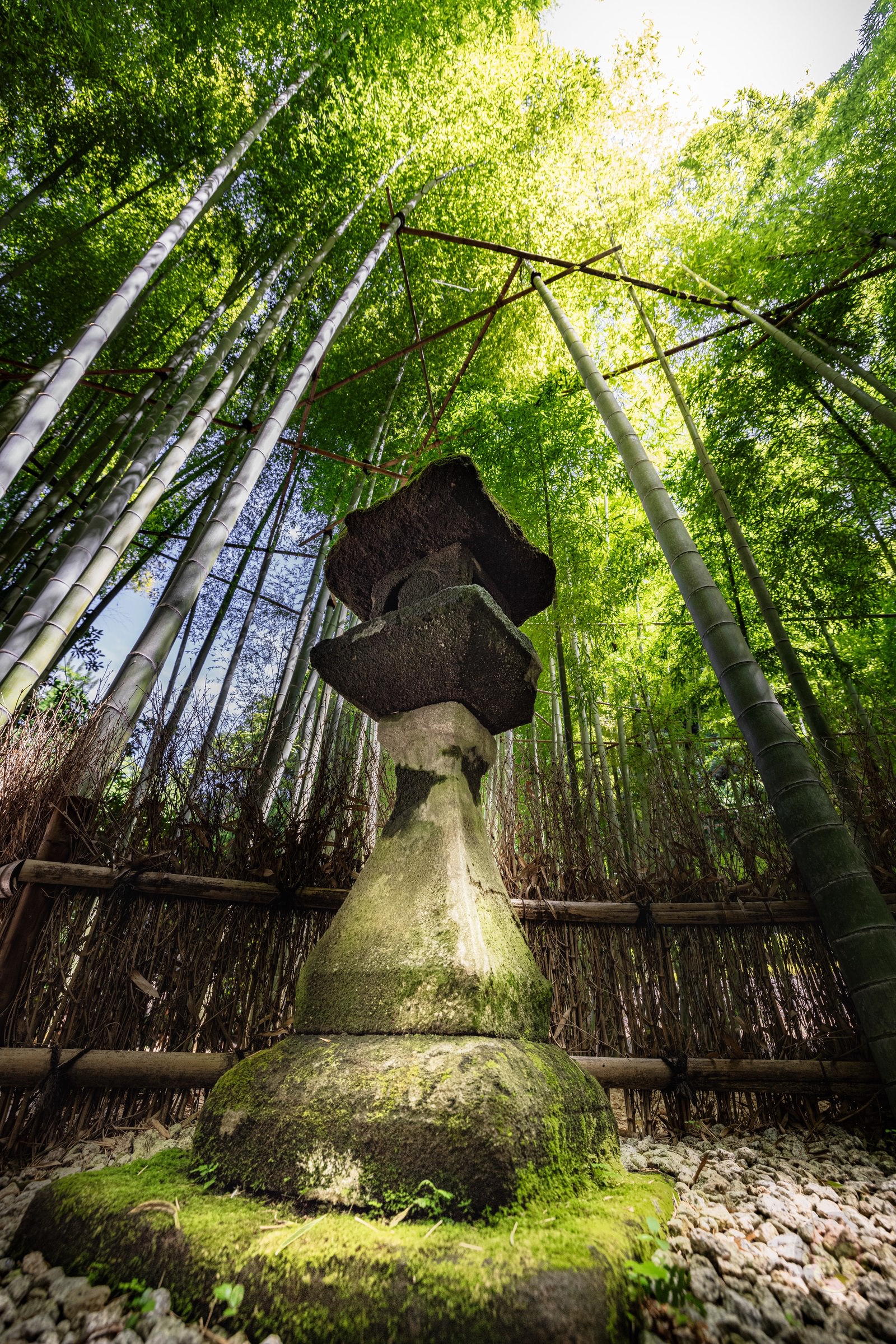 Kamakura Houkokuji Maccha 11