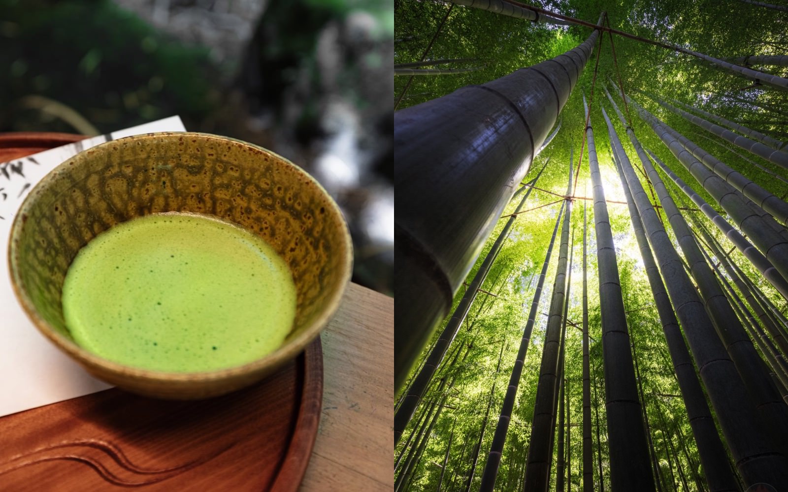 Kamakura Houkokuji Maccha