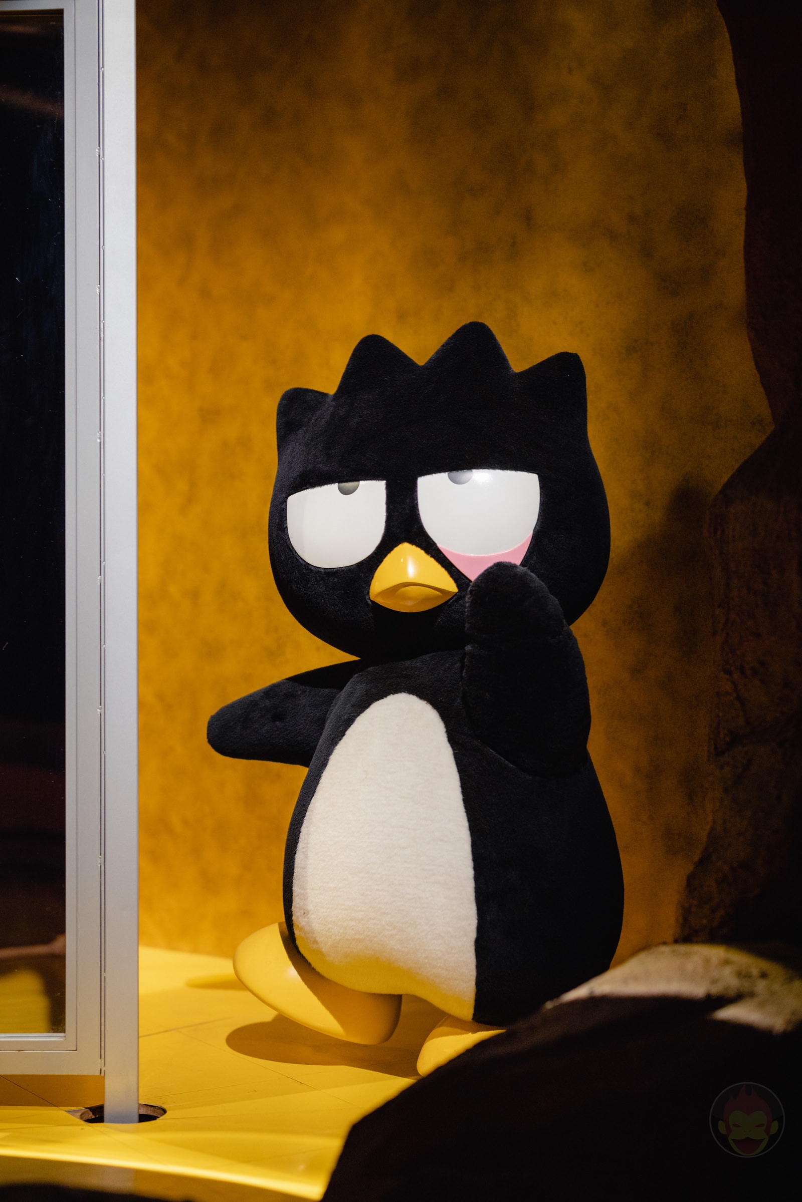 Puroland for the first time 00 05