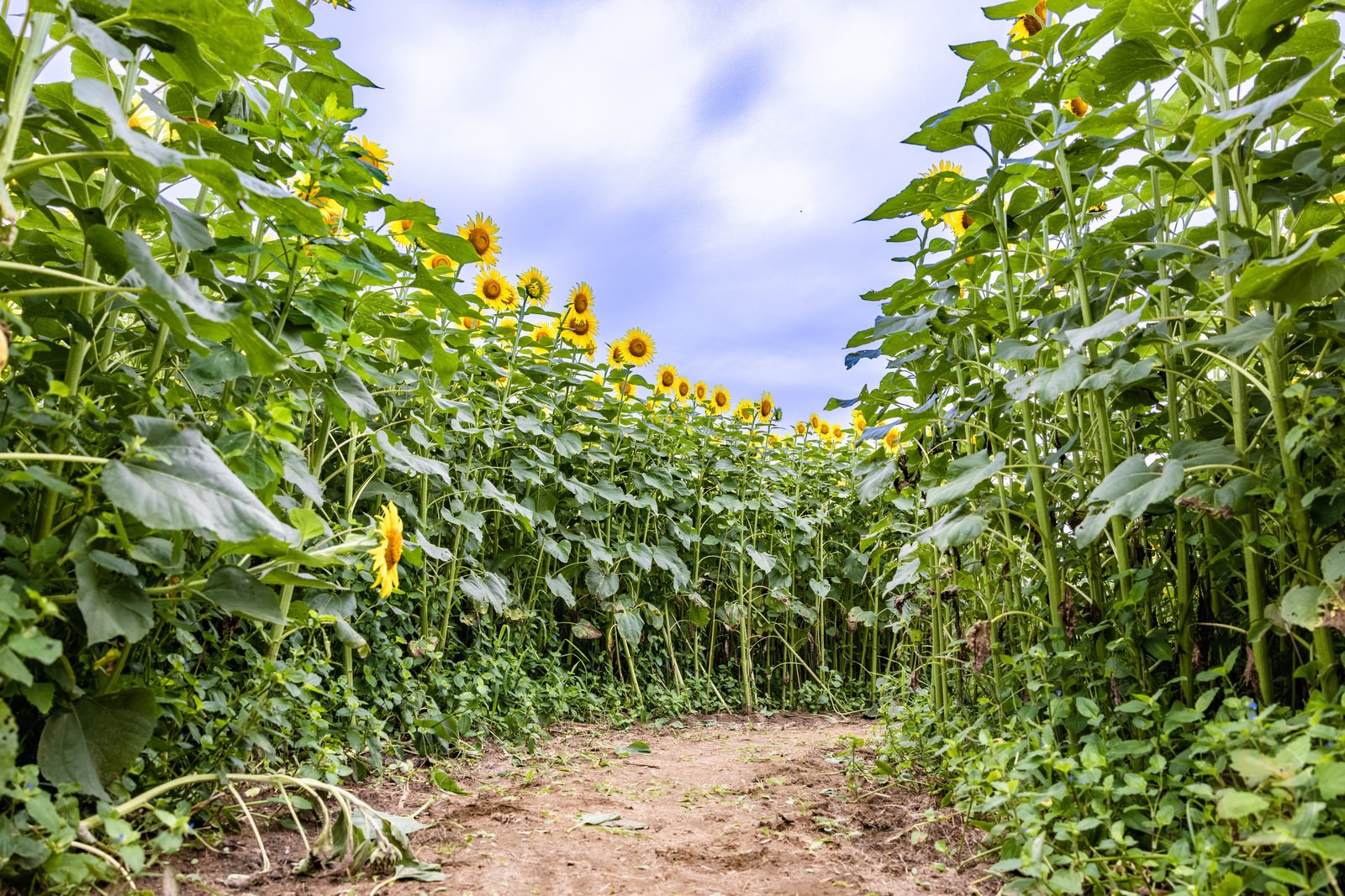 Long Stay at ASOVILLAGE with Family Day2 02