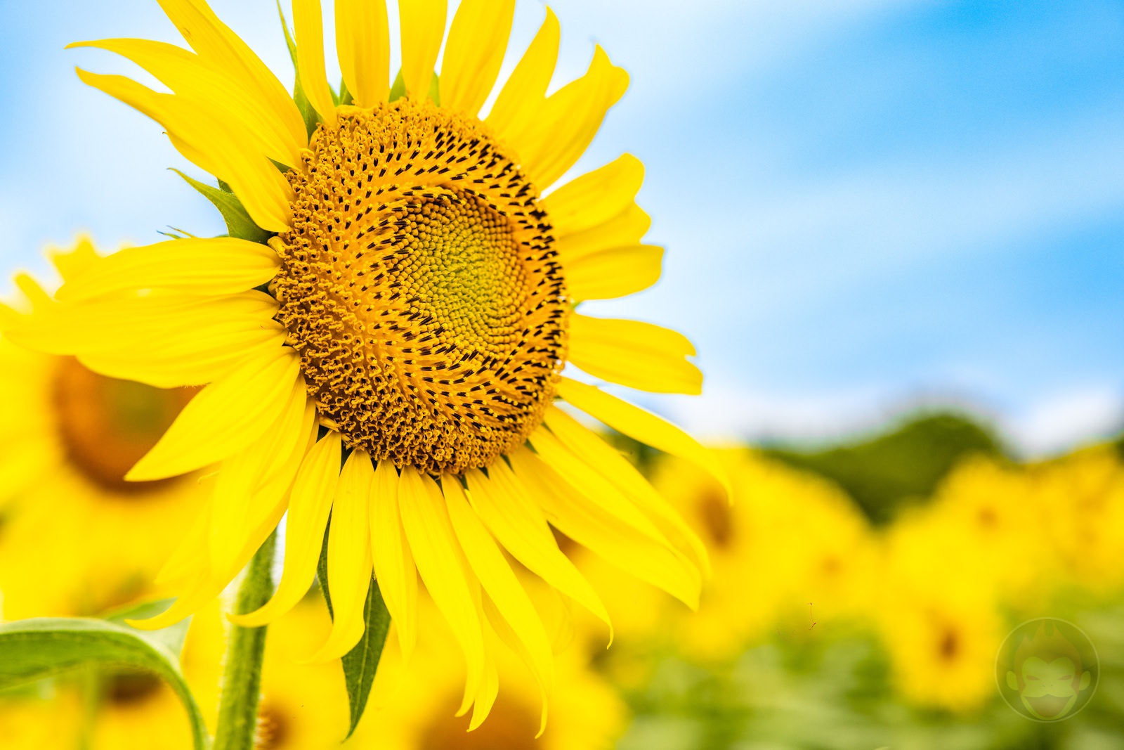 Long Stay at ASOVILLAGE with Family Day2 03