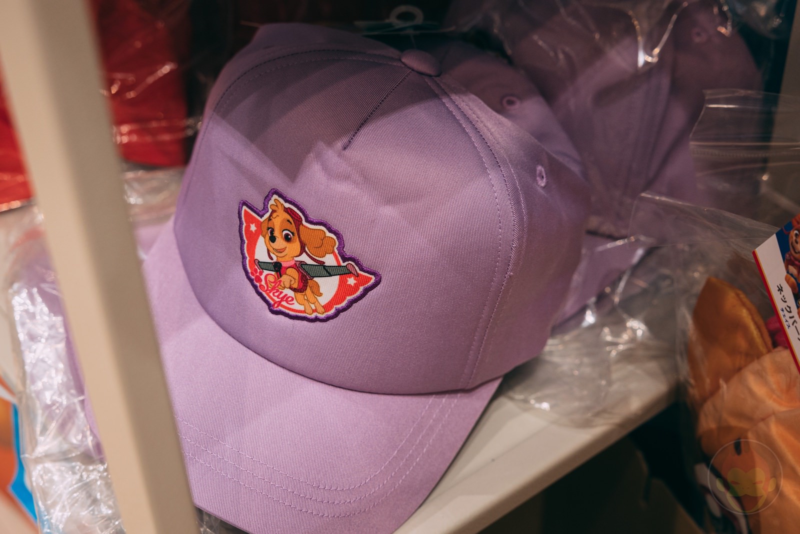 PAW Patrol Market Kawasaki Lazona village vanguard 13