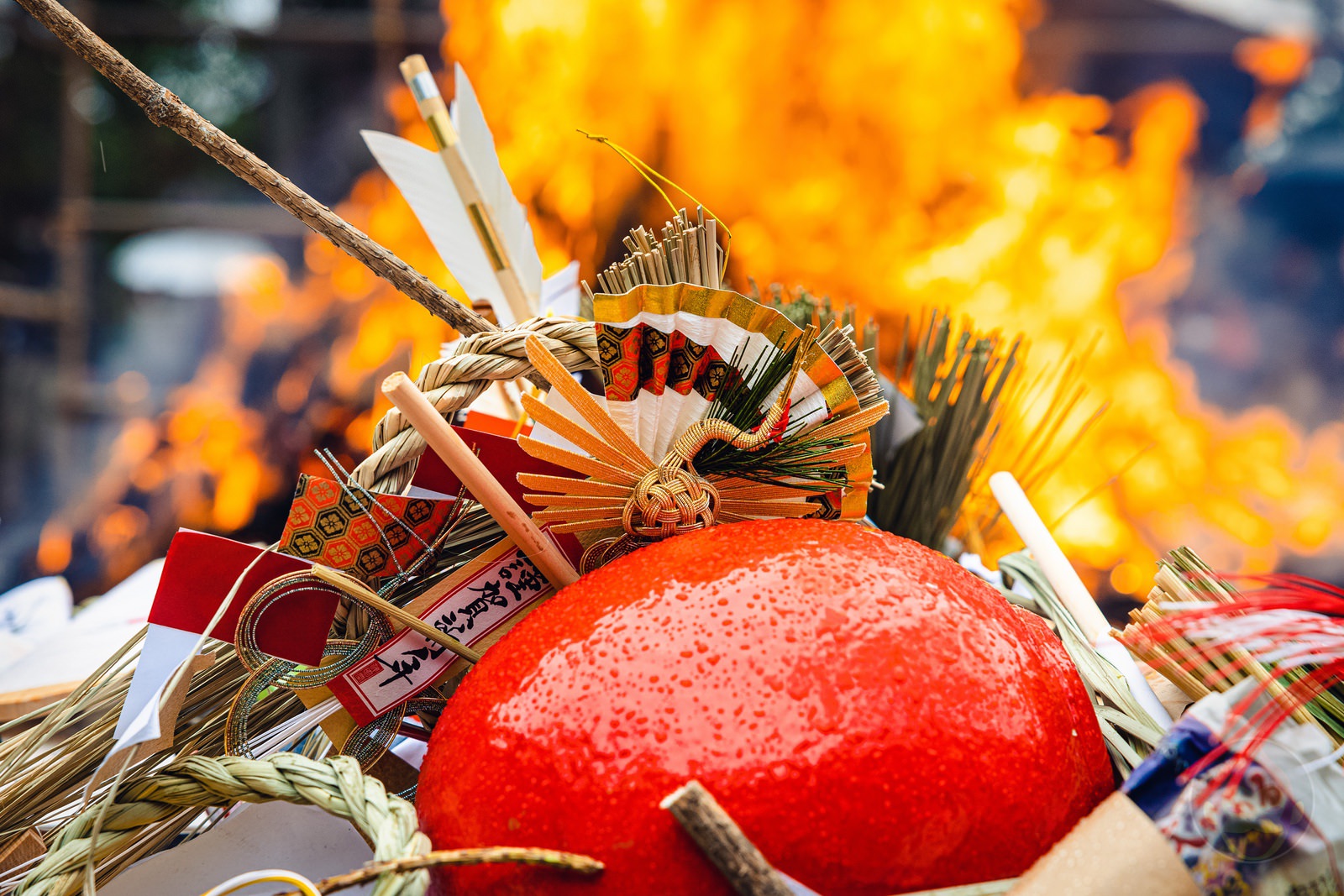 Dondo yaki shot with eos r6 markii rf24 70 04