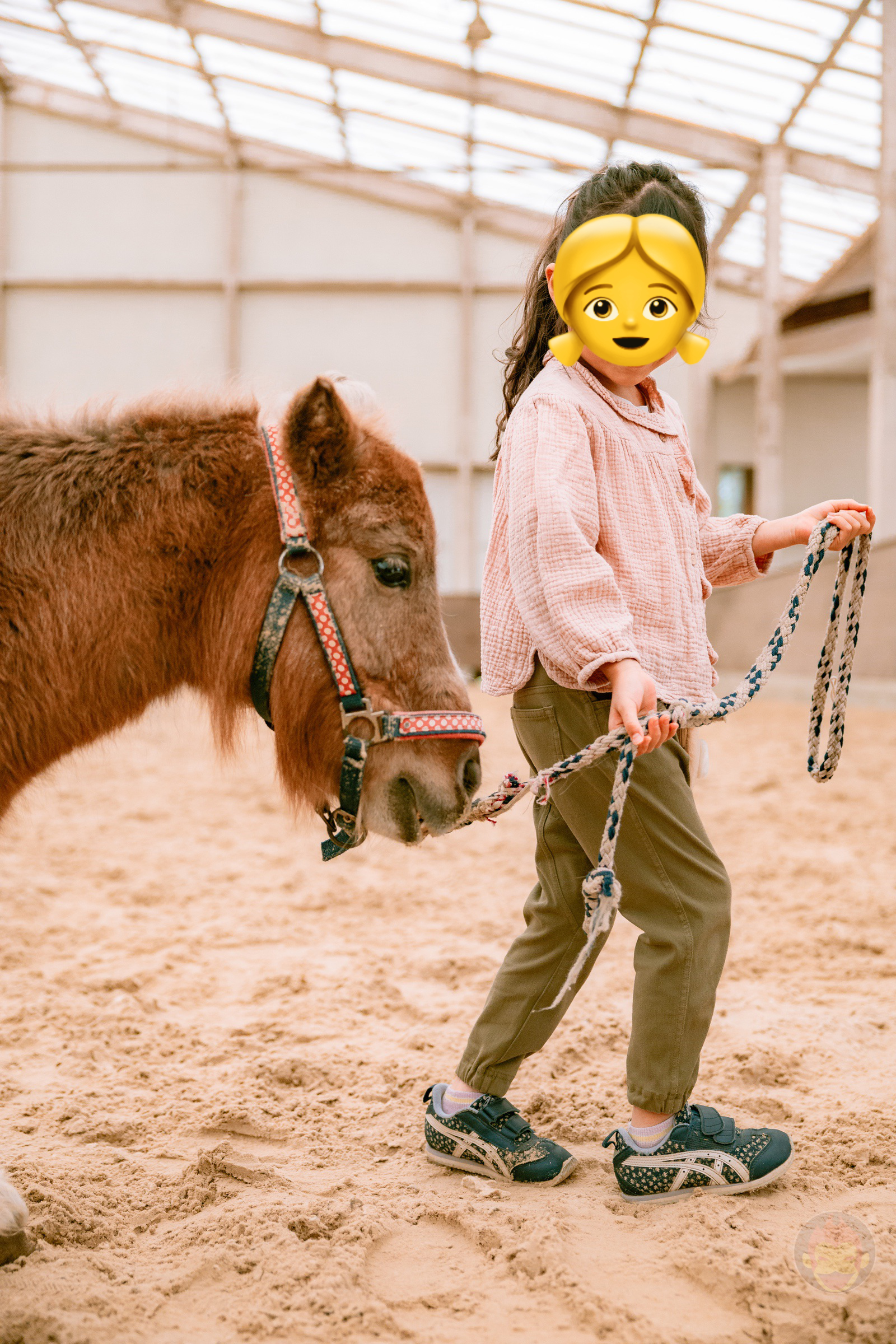 NASU FARM Village Horses and my kids 04