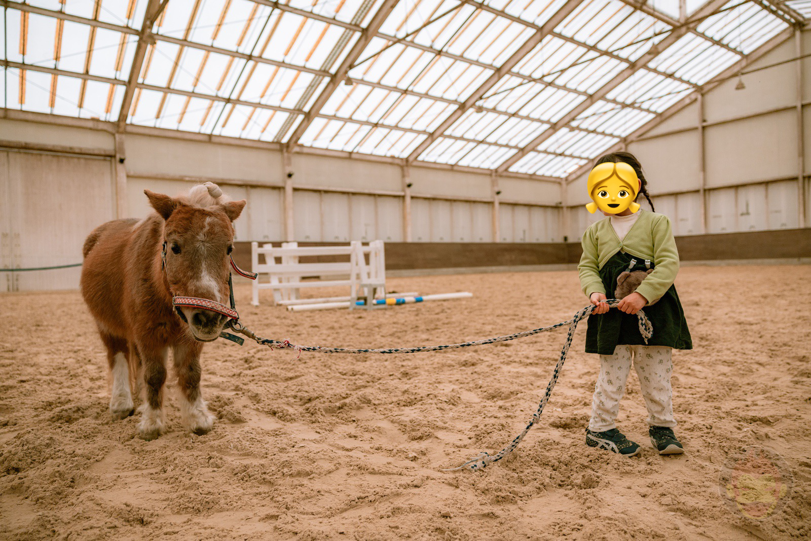 NASU FARM Village Horses and my kids 08