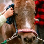 NASU-FARM-Village-Horses-and-my-kids-10.jpg