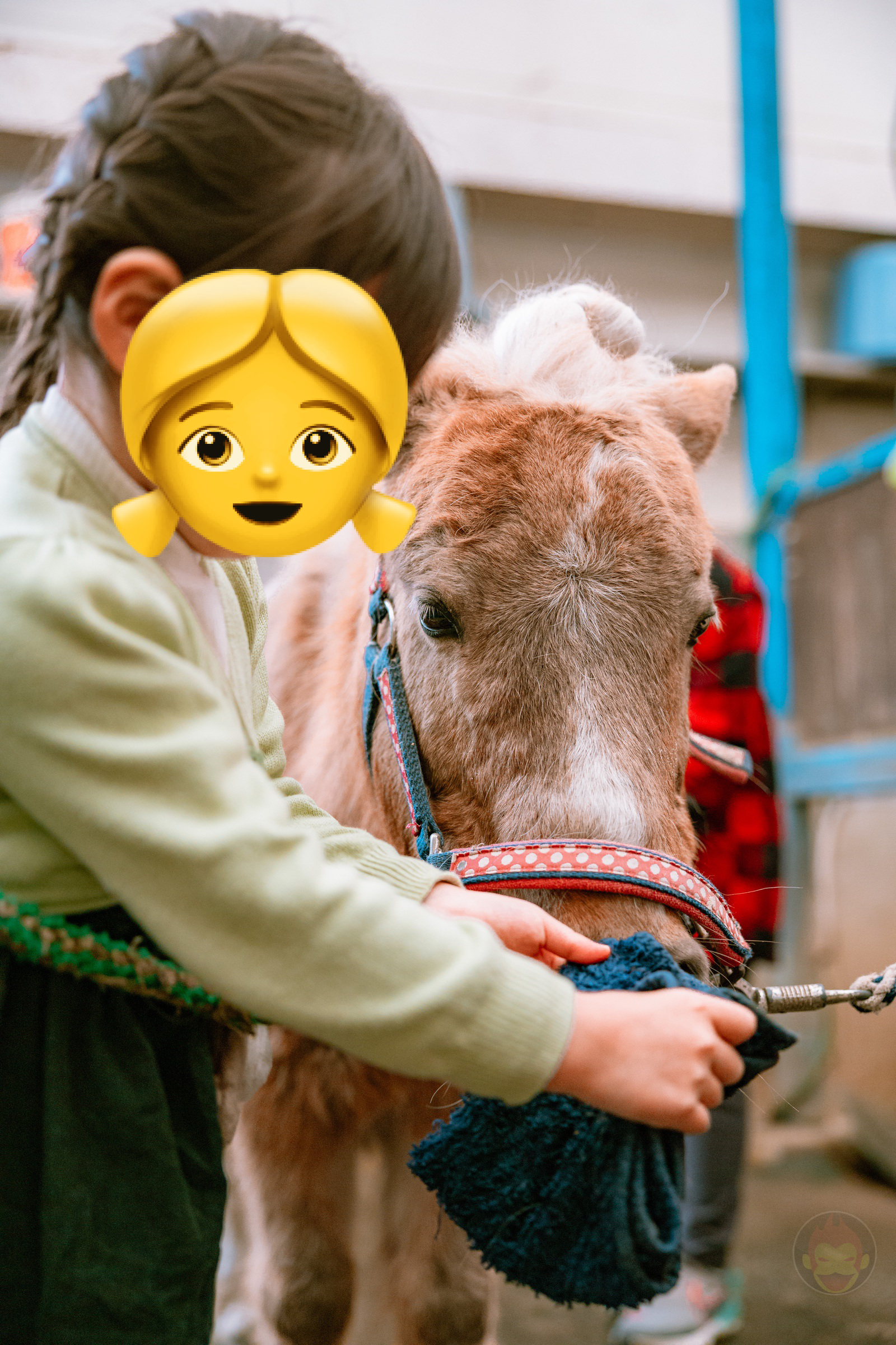NASU FARM Village Horses and my kids 11