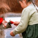 NASU-FARM-Village-Horses-and-my-kids-12.jpg