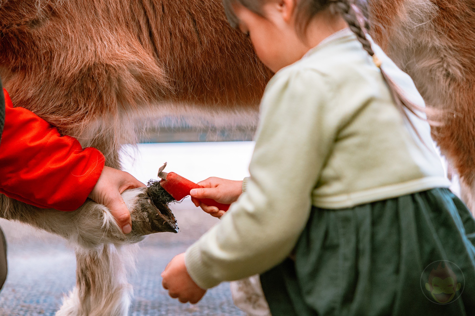 NASU FARM Village Horses and my kids 12