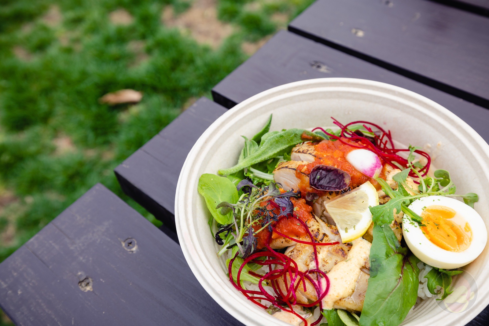 NASU FARM Village Horses and my kids 23