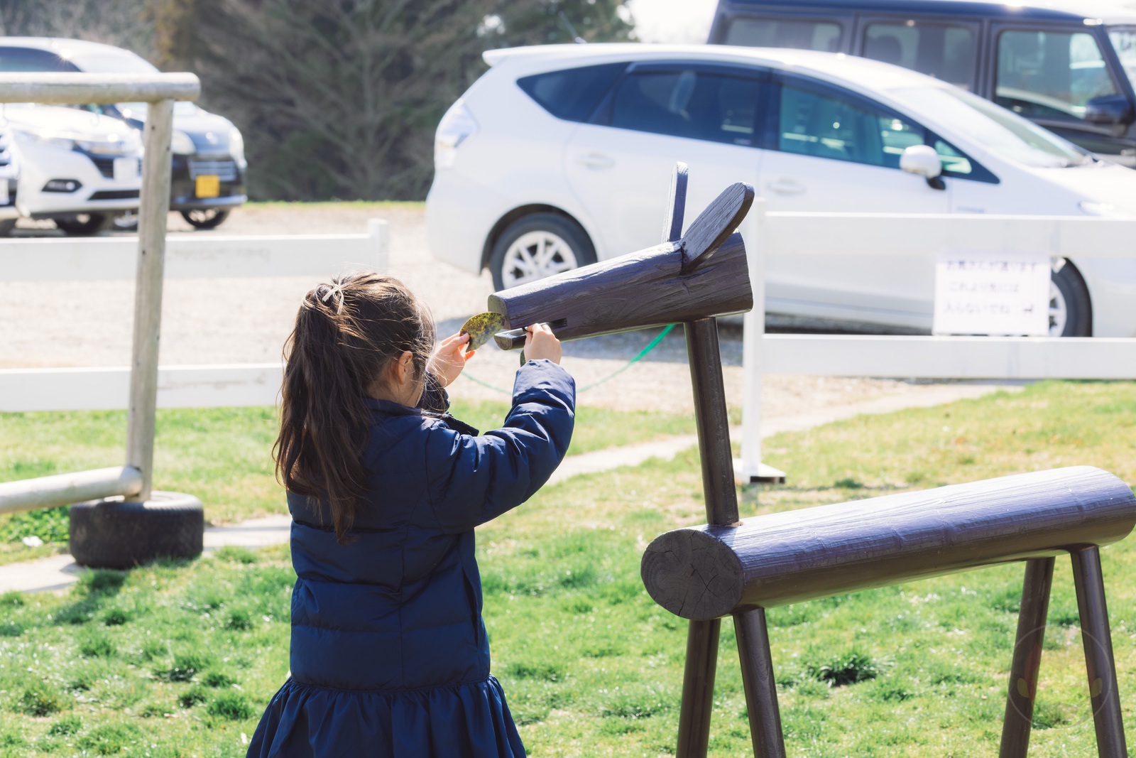 NASU FARM Village Horses and my kids 24