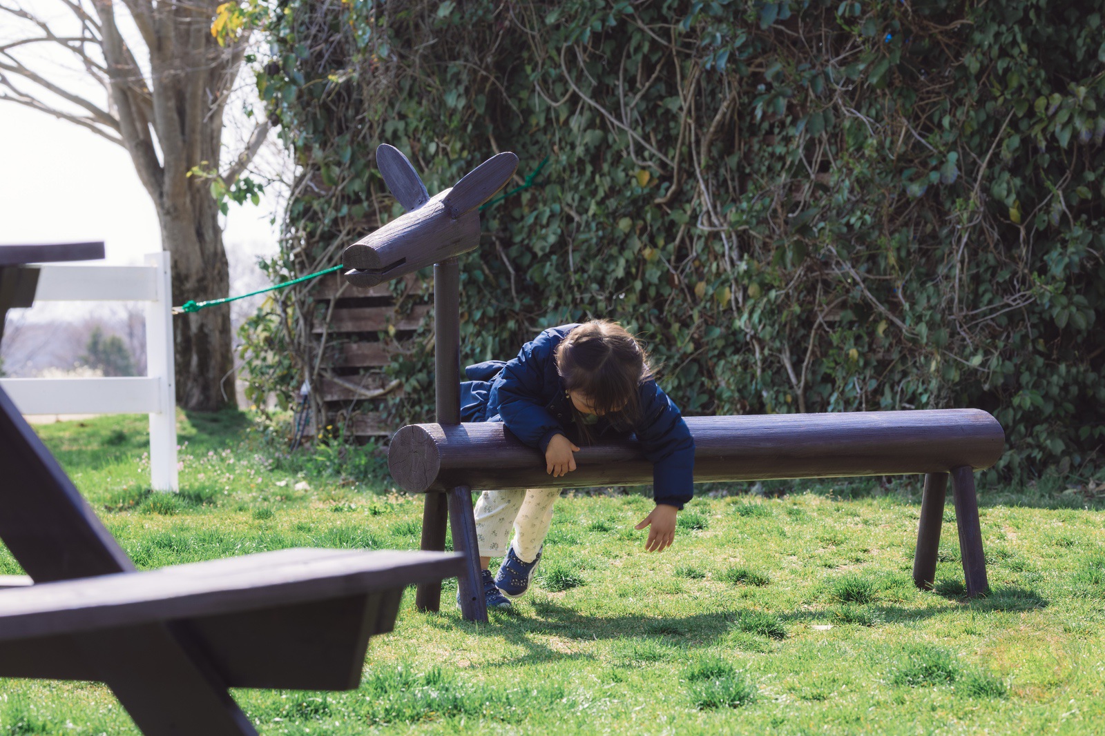 NASU FARM Village Horses and my kids 25